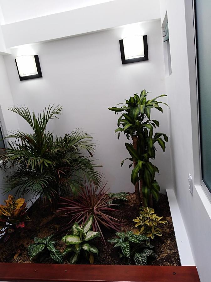 Hotel Jardin 38 Pasto Room photo